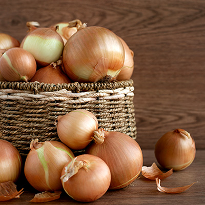 Onion Cold Storage Room